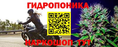 ПСИЛОЦИБИНОВЫЕ ГРИБЫ Татарск