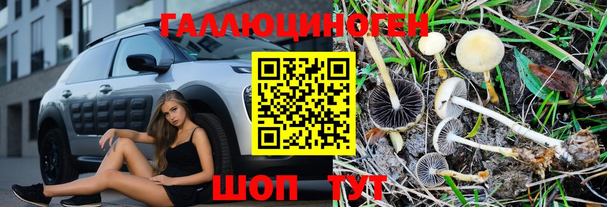 Галлюциногенные грибы прущие грибы Белая Калитва