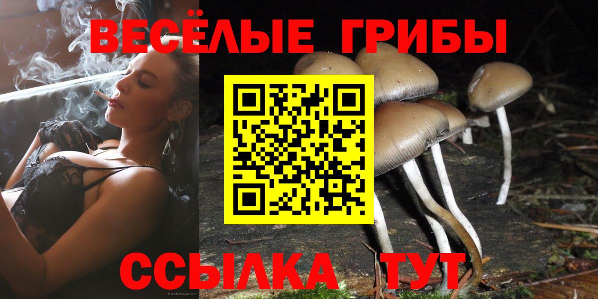 Псилоцибиновые грибы Magic Shrooms  Вход с VPN  Белая Калитва 